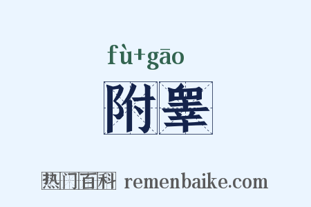 附睾是什么意思的图片